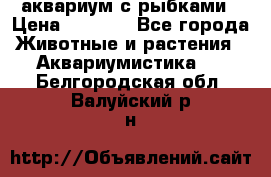 аквариум с рыбками › Цена ­ 1 000 - Все города Животные и растения » Аквариумистика   . Белгородская обл.,Валуйский р-н